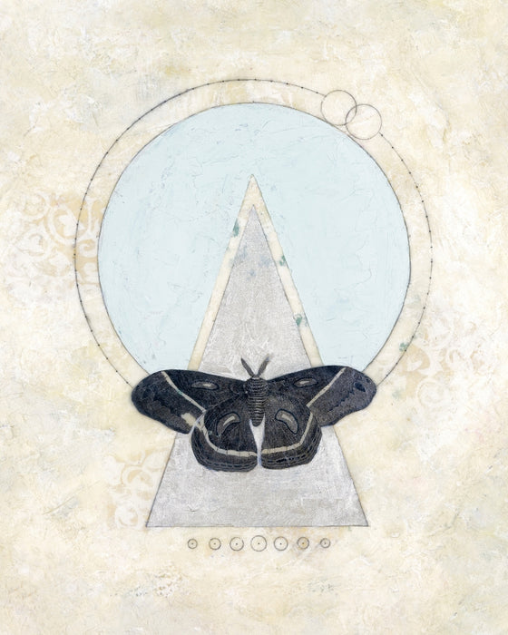 Animal Shield: Moth