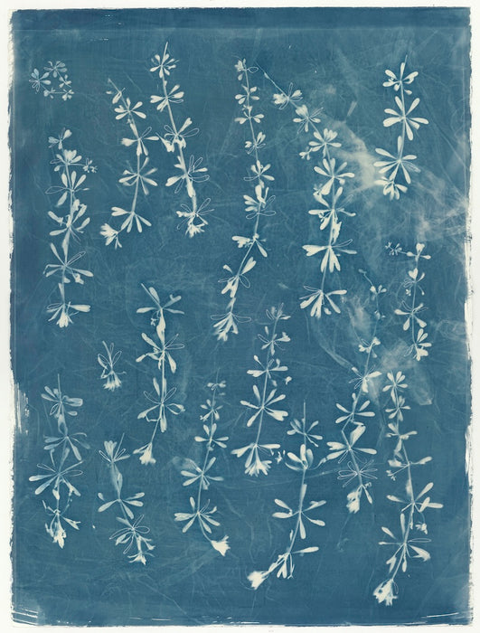 Entwined, Seen, Unseen