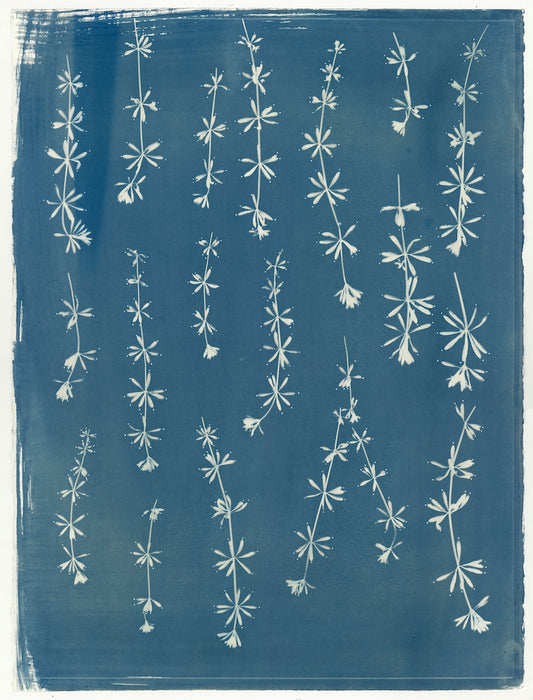 Blanket of Meditation